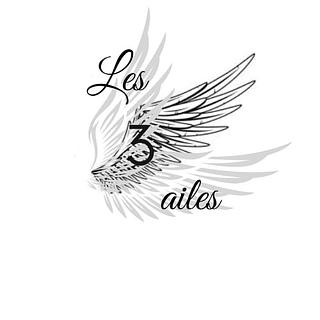 Marine  Lefebvre Administrateur réseaux