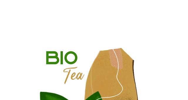 Logo Biotea par LaDesignerie