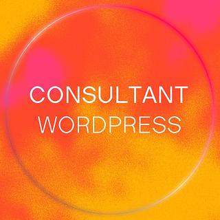 walid_amlouk Développeur WordPress