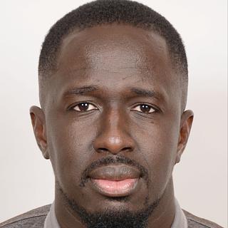 Mamadou Diaw Développeur Java
