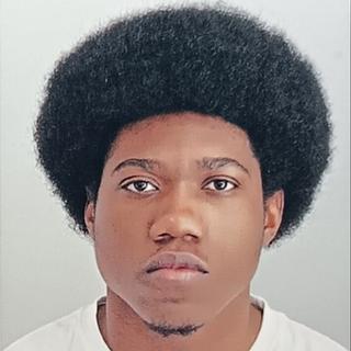 Kerry Florestal Développeur Windev