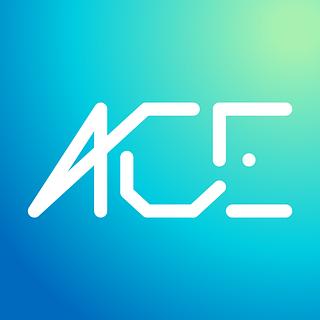 AceWebJungle Agence web