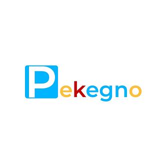 Pekegno Agence web