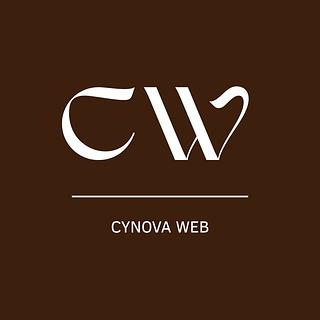 Cynthia Brunelin Développeur web
