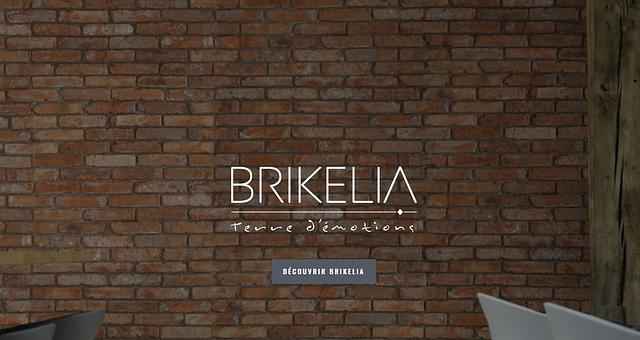 Parement Wordpress par Loïc Ousten