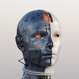 Anu Meena Agence web