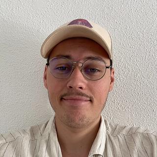 Noé Peltier Graphiste spécialisé en charte graphique