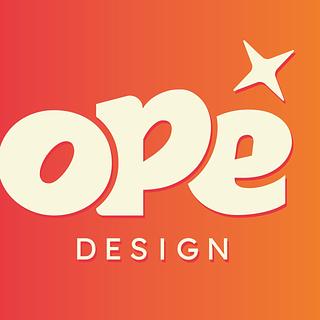 Camille Raffin Graphiste spécialisé en charte graphique