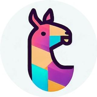 Basile  Hansemann  Développeur WordPress