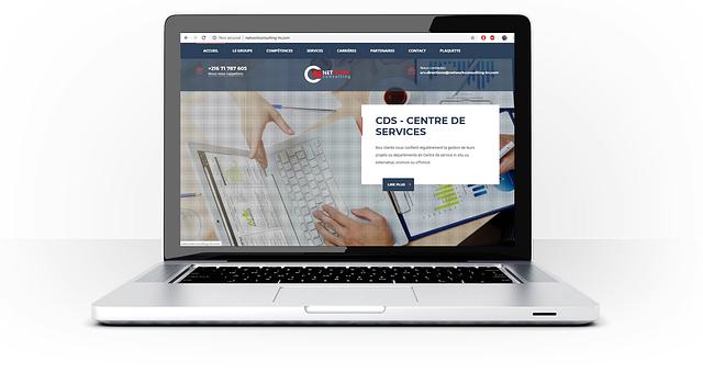 NETWORK CONSULTING par Ycolog Ibn