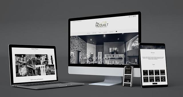 NICOLAS-T Web par Xavier Taillebois