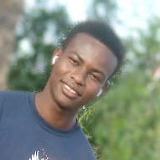 Mamadou  Ba Assistant virtuel