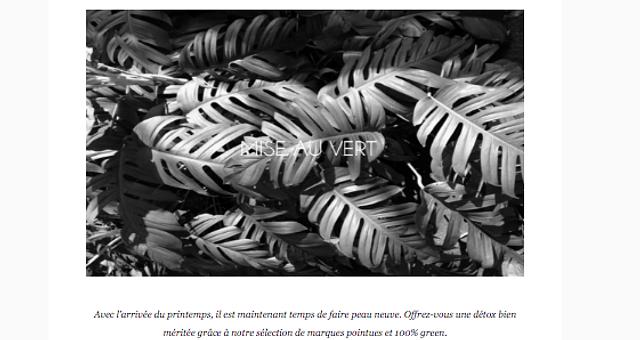 Le Flow  par wildflowersfr