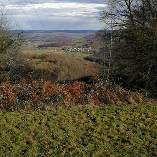 Rasnod Expert dropshipping