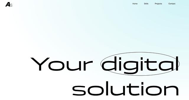 Portfolio par Antoine Subra