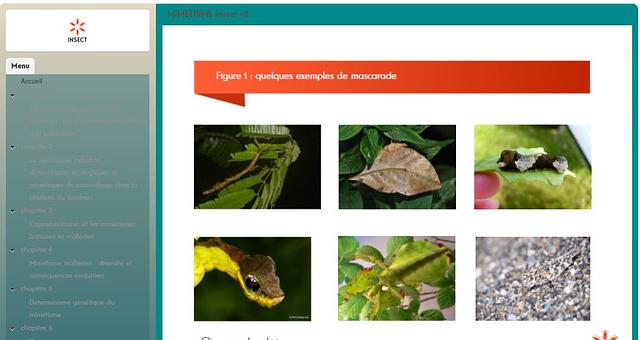 Conception d'un module [Storyline 3 (360)] par Formations_digitales