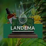 Landema