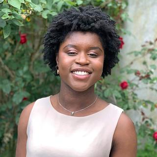 Véronique Gomis Consultant SEO