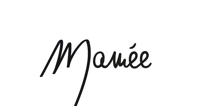 CREATION DE LOGO par Marie-Aimée De L'Espinay