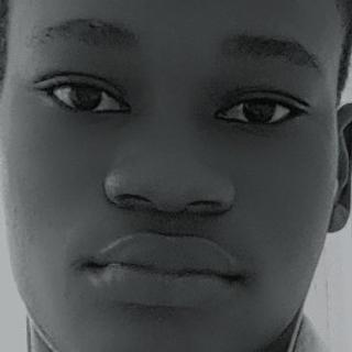 Mikael Bohime  Développeur Windev