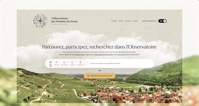 Plateforme collaborative, L'OPT par Romain Henriques