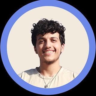 Carl Costantine Développeur WordPress