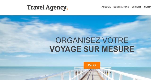 Site web pour Agence de voyage  par Zigla  Aboubakar 