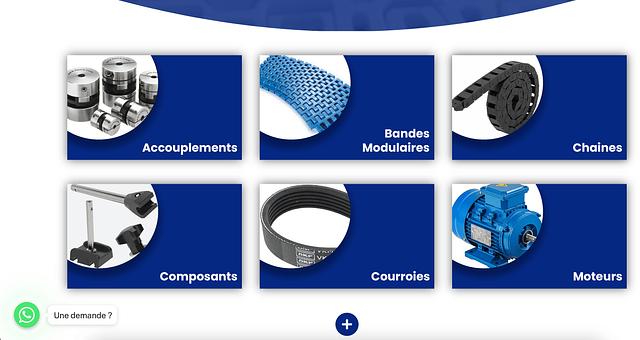 Site vitrine Narpa Maroc par Salah Eddine Mansouri