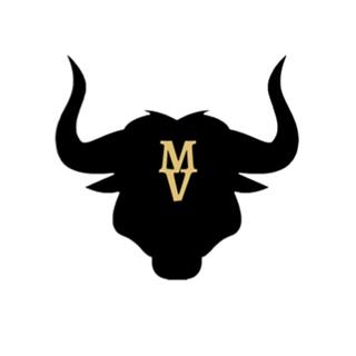 Motivie Développeur Shopify