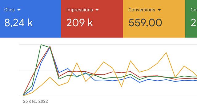 Gestion de campagnes Google Ads par Robin Smouts