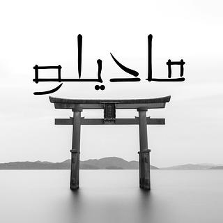 Amadou-Lamine Diallo Développeur web