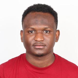 Mamadou Mouctar Diallo Développeur Java