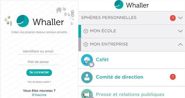 CDI - Développeur web et mobile par Blandine Burteaux