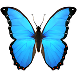 Morpho Fishing