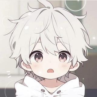 Leo Bauduin Développeur Python